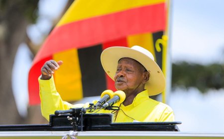 Government Mulls Five-Cow Compensation Scheme for War-Affected Households – Museveni
