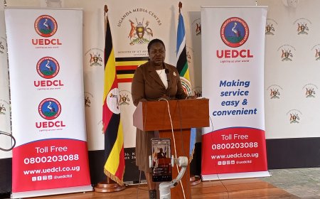 UEDCL Records Progress in Power Distribution After Umeme Exit — Energy Minister