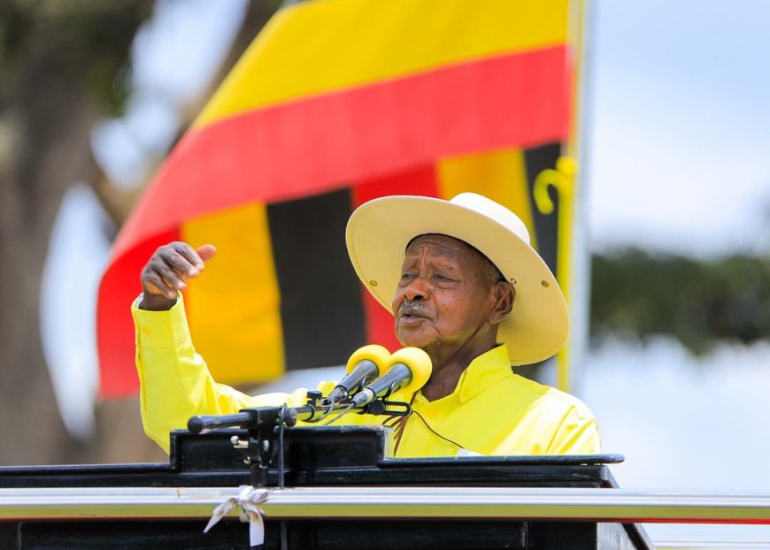 Government Mulls Five-Cow Compensation Scheme for War-Affected Households – Museveni