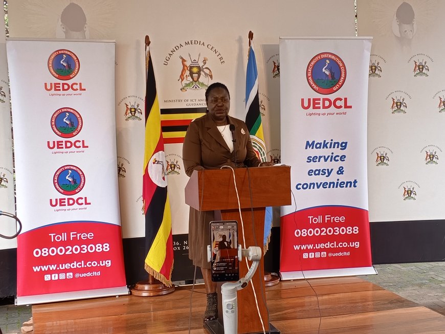UEDCL Records Progress in Power Distribution After Umeme Exit — Energy Minister