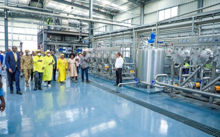 President Museveni Commissions DEI Agro-Processing Park, Flags Off First Ugandan Chili Export to China, and Addresses Rally in Kamuli