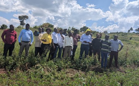 NCS Moves to Acquire 100 Acres for National Sports Academy Ahead of AFCON 2027  Board Impressed by Progress and Beauty of Hoima City Stadium