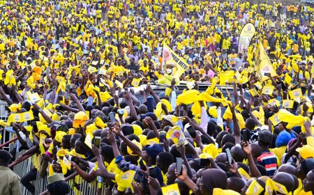 President Museveni Calls on Kiruhura Families to Focus on Productive Enterprise