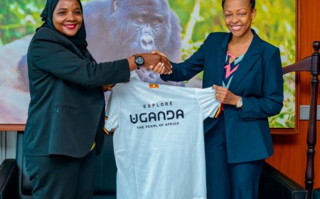 Uganda Cranes Named Global Ambassadors in Landmark UTB–FUFA Tourism Drive