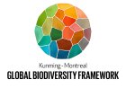 Uganda Earns Global Recognition as National Environment Management Authority Leads Early Submission of 7th Biodiversity Report