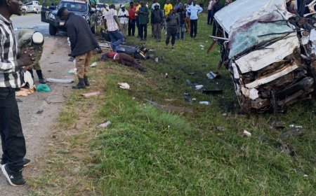 Eight Killed in Highway Crash as Police Warn Against Reckless Overtaking