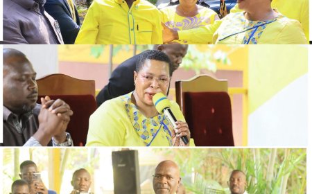 Mawokota South MP Yusuf Nsibambi Crosses from FDC to NRM