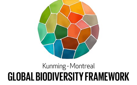 Uganda Earns Global Recognition as National Environment Management Authority Leads Early Submission of 7th Biodiversity Report