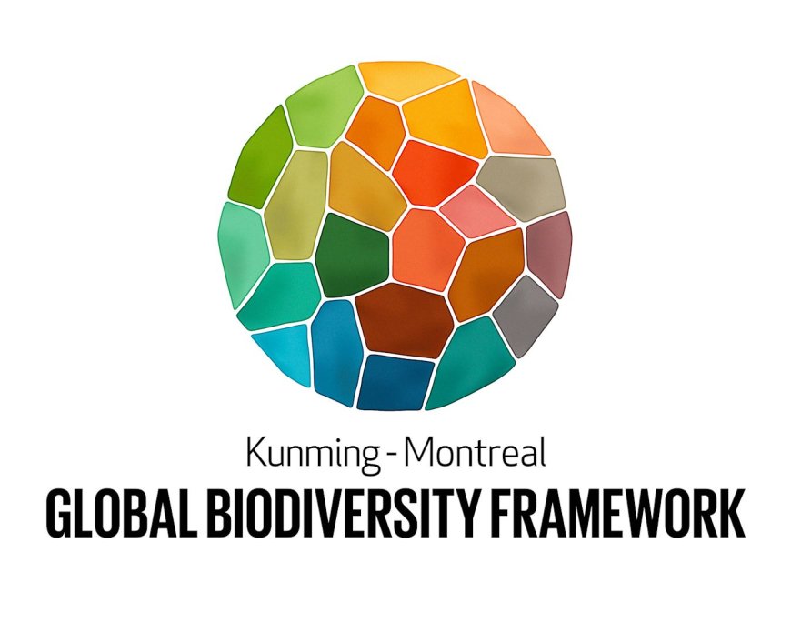 Uganda Earns Global Recognition as National Environment Management Authority Leads Early Submission of 7th Biodiversity Report
