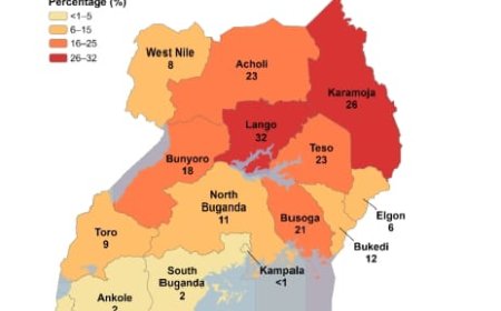 Uganda Malaria Survey 2024–25 Shows Treatment Gains Amid Rising Child Infection Rates