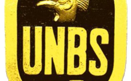 Inside Kampala Metropolitan Hardware Market: Are Construction Materials Meeting UNBS Standards?