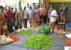 Stanbic Incubator trained farmers in joint venture to export to Europe