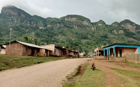 WHY Bugisu was divided into Bugisu south , Bugisu North and Bugisu central in 1962 elections