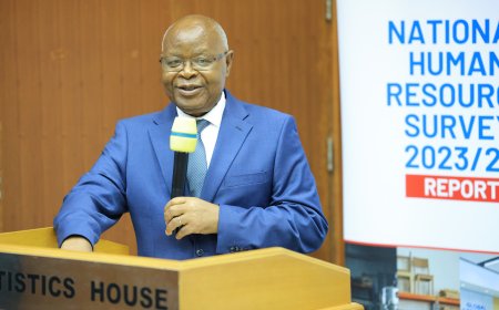 UBOS Launches National Human Resource Survey Report as Government Calls for Private Sector to Drive Job Creation