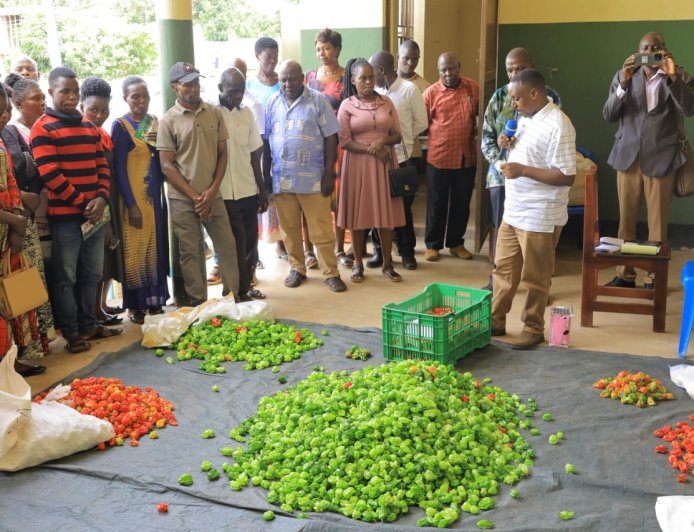 Stanbic Incubator trained farmers in joint venture to export to Europe