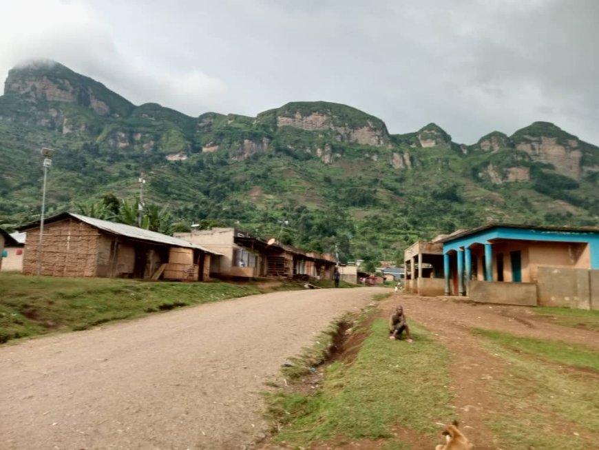 WHY Bugisu was divided into Bugisu south , Bugisu North and Bugisu central in 1962 elections