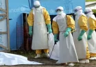 Willpower vs. Reality: The True Cost of Regional Ebola Preparedness