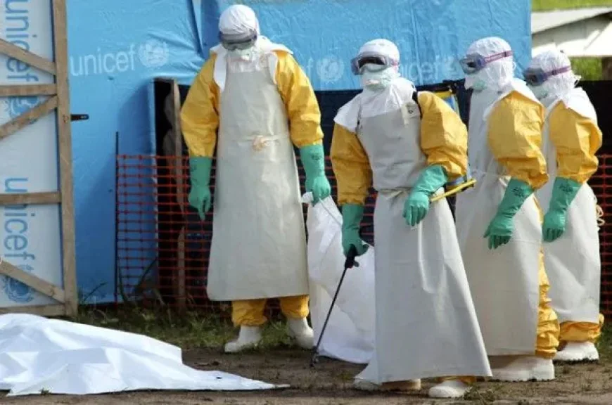 Willpower vs. Reality: The True Cost of Regional Ebola Preparedness