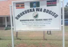 Government Freezes Inzu Ya Masaaba Bank Accounts Following Deregistration