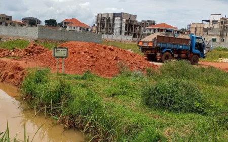 Kajjansi Wetland Under Protection as NEMA Halts Illegal Construction