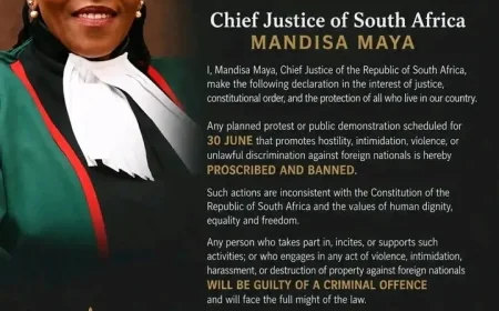 African Leaders Urged to Protect Citizens Amid Rising Tensions in South Africa