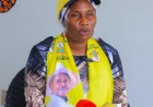 NRM's Medina Calls for Mass Support of Party Candidates in LC1 Polls