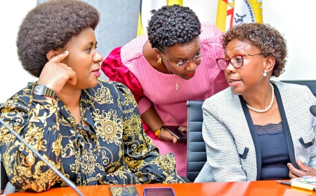 NRM-Independent MPs MoU: What the New Parliamentary Partnership Means