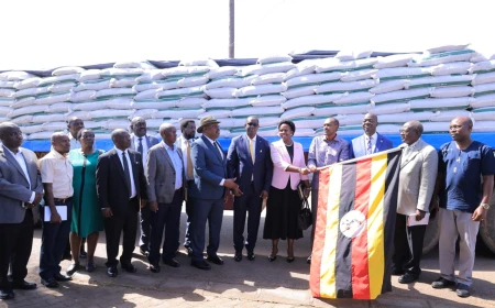 MAAIF Launches Free Fertiliser Distribution to Boost Farm Productivity, Restore Soil Fertility