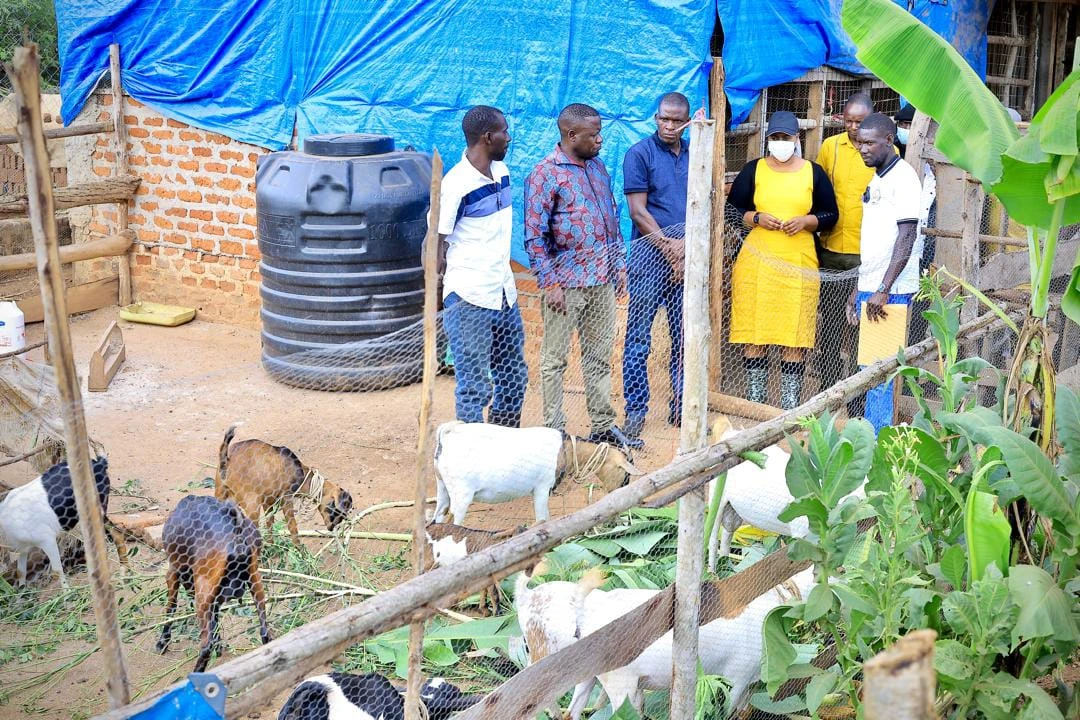 Hon. Amb. Nekesa Hails PDM Impact as Busia Beneficiaries Share Stories of Household Transformation
