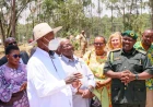 Museveni Commends UWA for Wildlife Conservation Efforts During Mbale Visit
