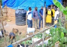 Hon. Amb. Nekesa Hails PDM Impact as Busia Beneficiaries Share Stories of Household Transformation