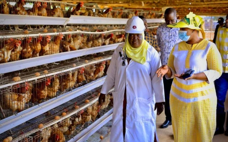 Nekesa urges Busia PDM beneficiaries to invest wisely as farmers hail Museveni