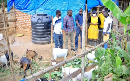 Hon. Amb. Nekesa Hails PDM Impact as Busia Beneficiaries Share Stories of Household Transformation