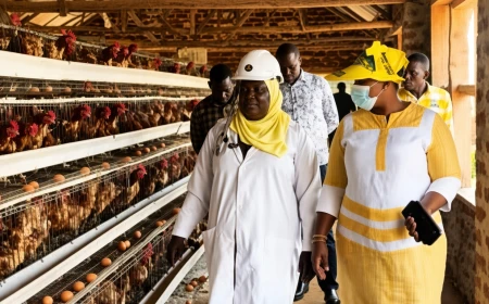 Nekesa urges Busia PDM beneficiaries to invest wisely as farmers hail Museveni