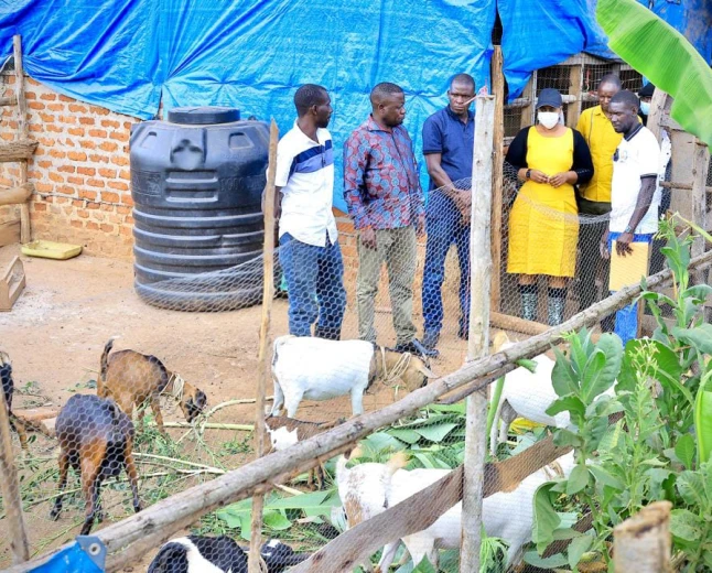 Hon. Amb. Nekesa Hails PDM Impact as Busia Beneficiaries Share Stories of Household Transformation