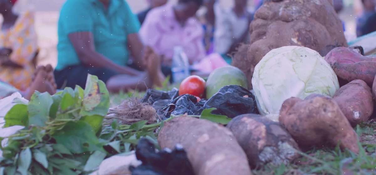 Decolonising our language – questioning the idea of ‘subsistence farming’