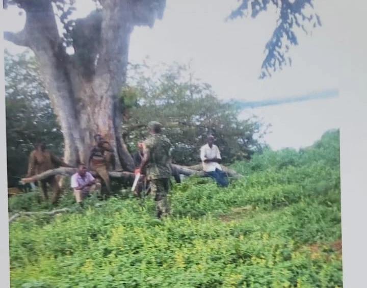 Mbeya Residents Fear Rising Insecurity After Release of Suspected Criminal on Bail