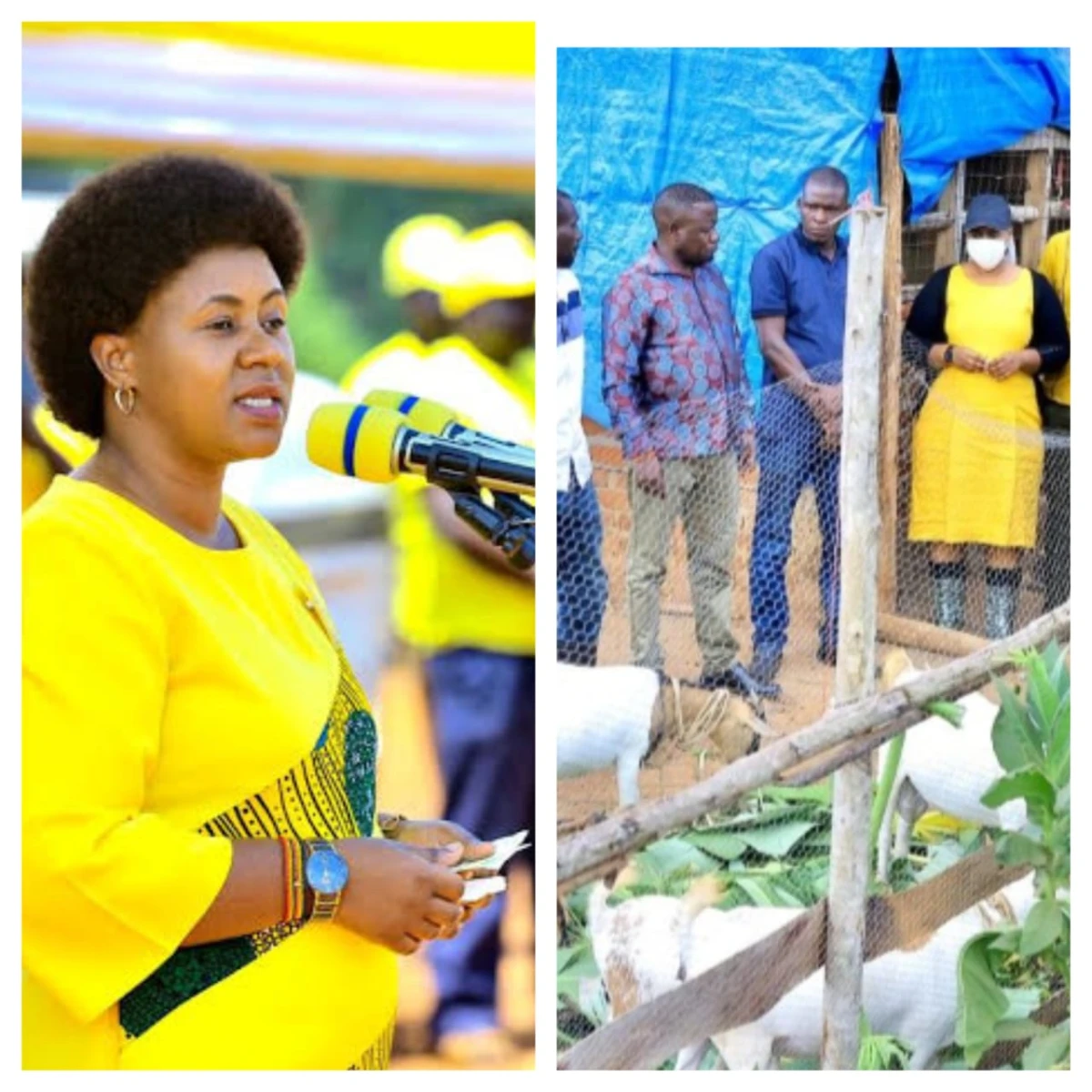 “Boots on the Ground”: Journalist Hails NRM Treasurer Barbara Nekesa for Exemplary PDM Oversight in Busia as She Warns Against Fund Misuse