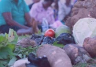 Decolonising our language – questioning the idea of ‘subsistence farming’