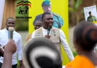 Mauso Brian Leads Sincere PLU Cadres in Bugisu Mobilisation Ahead of Muhoozi Endorsement Rally