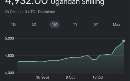 UGANDA MUST FEED ITS OWN FUTURE: THE SHILLING CRISIS IS A WAKE-UP CALL FOR IMPORT SUBSTITUTION