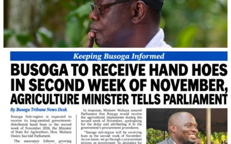 PROF. BALUNYWA: HAND HOES IN 2026? WE CANNOT HOE OUR WAY OUT OF POVERTY
