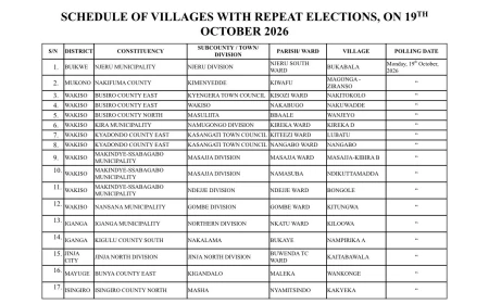 Electoral Commission Conducts Second Batch of Repeat LC1 Chairperson Elections in 17 Villages