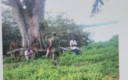 Mbeya Residents Fear Rising Insecurity After Release of Suspected Criminal on Bail