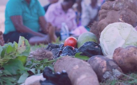Decolonising our language – questioning the idea of ‘subsistence farming’