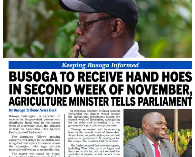 PROF. BALUNYWA: HAND HOES IN 2026? WE CANNOT HOE OUR WAY OUT OF POVERTY