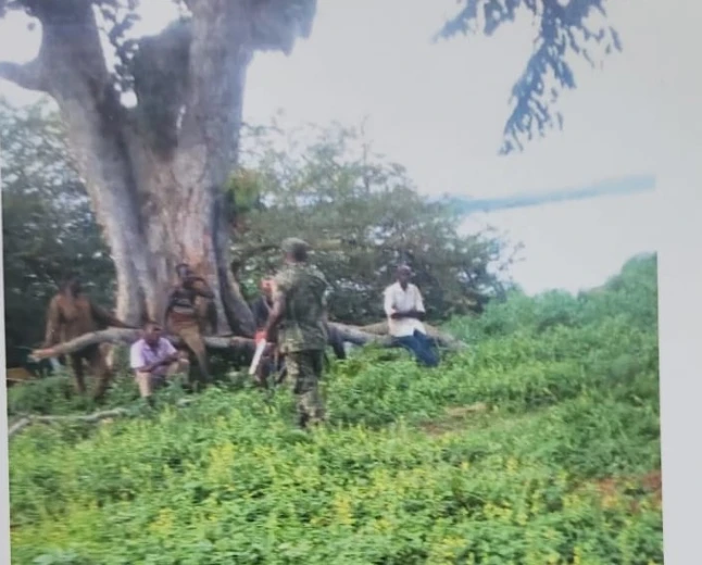 Mbeya Residents Fear Rising Insecurity After Release of Suspected Criminal on Bail