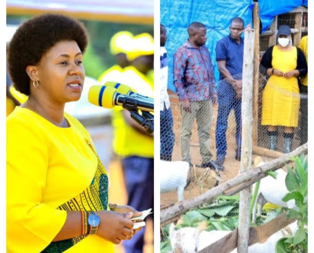 “Boots on the Ground”: Journalist Hails NRM Treasurer Barbara Nekesa for Exemplary PDM Oversight in Busia as She Warns Against Fund Misuse