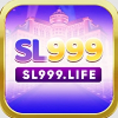 sl999tech