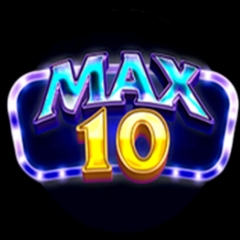 max10aorg1